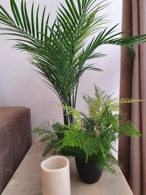 Modern A Few Minutes To The Center - Trip Apartamento *