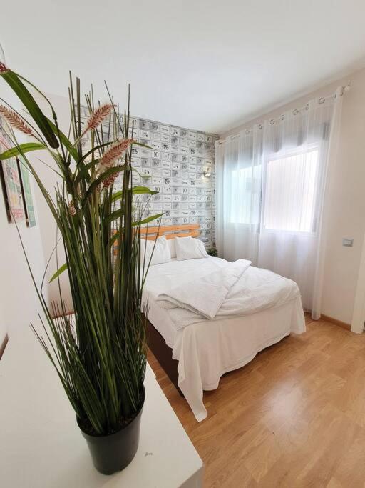 Apartamento Modern A Few Minutes To The Center - Trip Málaga